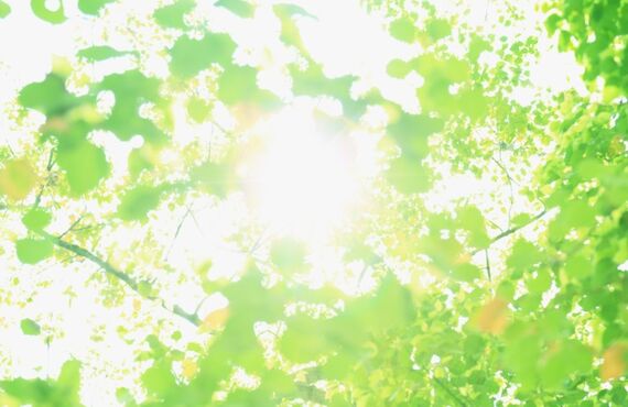 遺言書の種類　小田原の北條行政書士事務所